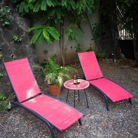 Le Bambou T3 Centre Ville Sainte Clotilde Rez De Jardin Bois de Nefles  Exteriér fotografie
