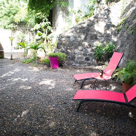 Le Bambou T3 Centre Ville Sainte Clotilde Rez De Jardin Bois de Nefles  Exteriér fotografie