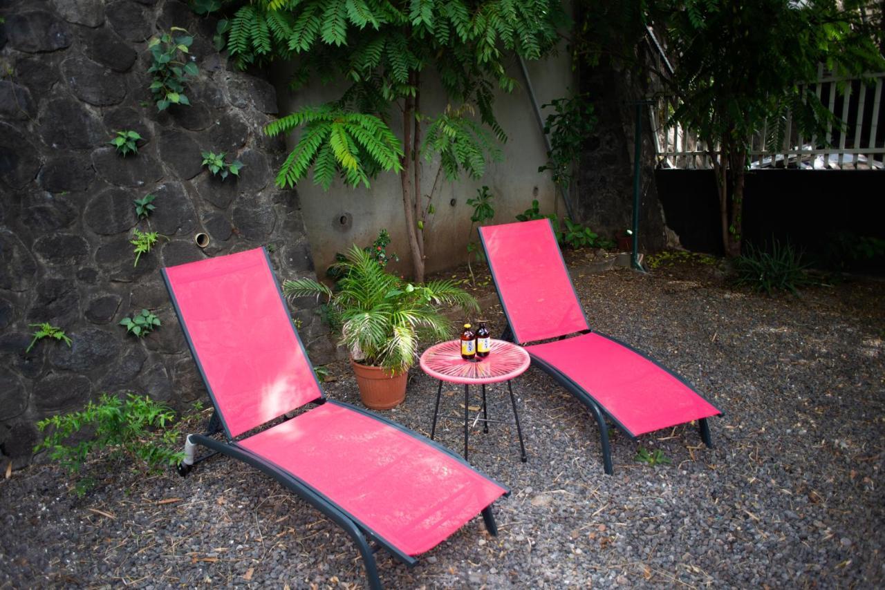 Le Bambou T3 Centre Ville Sainte Clotilde Rez De Jardin Bois de Nefles  Exteriér fotografie